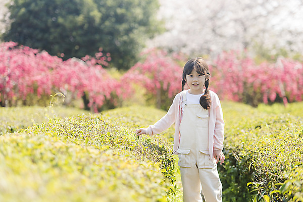 포토 JPG 주간 공원 여자 행복 어린이 여행 꽃밭 가족 가족여행 한명 미소 소녀 상반신 야외 앞모습 제주도 걷기 맑음 화목 봄 한국인 가족라이프 핵가족 즐거움 녹차밭 봄여행 제주도여행 소녀한명만 노리매공원 국내포토 자연요소 1 라이프스타일 계절 공공시설 꽃 감정 뷰포인트 컨셉 밭 관계 모션 날씨 한국 표정 사람 동양인 녹차 여자한명만 소녀만 파일형식