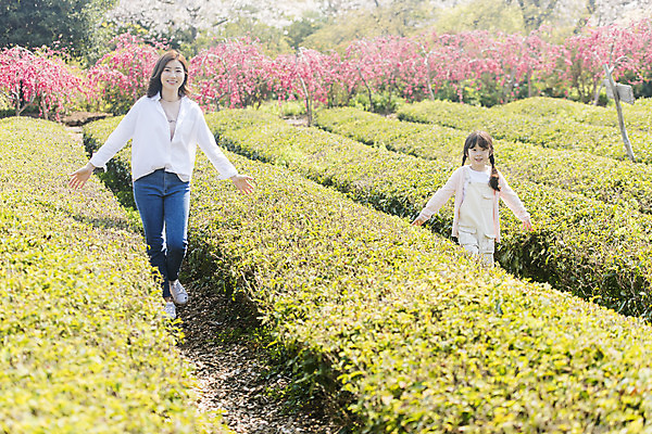 포토 JPG 주간 전신 공원 여자 딸 행복 어린이 여행 가족 모녀 엄마 가족여행 미소 상반신 성인 야외 두명 앞모습 30대 제주도 걷기 맑음 화목 봄 한국인 가족라이프 핵가족 즐거움 녹차밭 봄여행 제주도여행 여자만 노리매공원 국내포토 자연요소 라이프스타일 계절 공공시설 감정 뷰포인트 컨셉 밭 관계 모션 날씨 한국 표정 사람 동양인 장년 녹차 파일형식