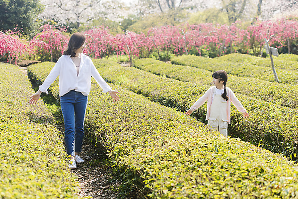 포토 JPG 주간 전신 공원 여자 딸 행복 어린이 여행 가족 모녀 엄마 가족여행 미소 상반신 성인 야외 두명 앞모습 30대 제주도 걷기 맑음 화목 봄 한국인 가족라이프 핵가족 즐거움 녹차밭 봄여행 제주도여행 여자만 노리매공원 국내포토 자연요소 라이프스타일 계절 공공시설 감정 뷰포인트 컨셉 밭 관계 모션 날씨 한국 표정 사람 동양인 장년 녹차 파일형식