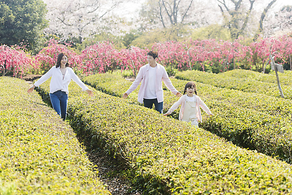 포토 JPG 주간 공원 여자 남자 딸 행복 어린이 여행 가족 엄마 가족여행 미소 소녀 상반신 성인 야외 앞모습 세명 30대 제주도 걷기 맑음 화목 봄 한국인 가족라이프 아빠 핵가족 즐거움 녹차밭 봄여행 제주도여행 노리매공원 국내포토 자연요소 라이프스타일 계절 공공시설 감정 뷰포인트 컨셉 밭 관계 모션 날씨 한국 표정 사람 동양인 장년 녹차 파일형식