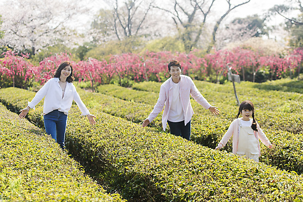 포토 JPG 주간 공원 여자 남자 딸 행복 어린이 여행 가족 엄마 가족여행 미소 소녀 상반신 성인 야외 앞모습 세명 30대 제주도 걷기 맑음 화목 봄 한국인 가족라이프 아빠 핵가족 즐거움 녹차밭 봄여행 제주도여행 노리매공원 국내포토 자연요소 라이프스타일 계절 공공시설 감정 뷰포인트 컨셉 밭 관계 모션 날씨 한국 표정 사람 동양인 장년 녹차 파일형식