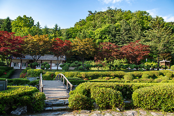 포토 JPG 주간 여행 풍경 사람없음 야외 여름 관광지 정원 천주교 명승지 제천 제천10경 배론성지 신유박해 국내포토 자연요소 계절 종교 문화재 역사 충청북도 성지 파일형식