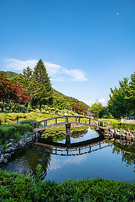 포토 JPG 주간 여행 풍경 사람없음 야외 여름 관광지 천주교 연못 명승지 제천 가교 제천10경 배론성지 신유박해 국내포토 자연요소 건축물 계절 종교 문화재 역사 충청북도 성지 파일형식