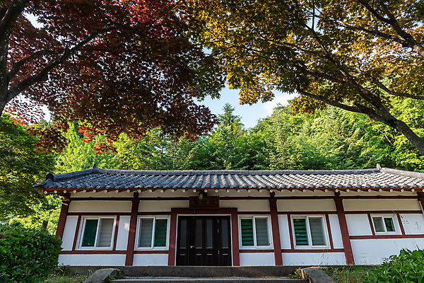 포토 JPG 주간 나무 여행 풍경 사람없음 야외 여름 관광지 천주교 명승지 제천 제천10경 배론성지 신유박해 국내포토 자연요소 식물 계절 종교 문화재 역사 충청북도 성지 파일형식