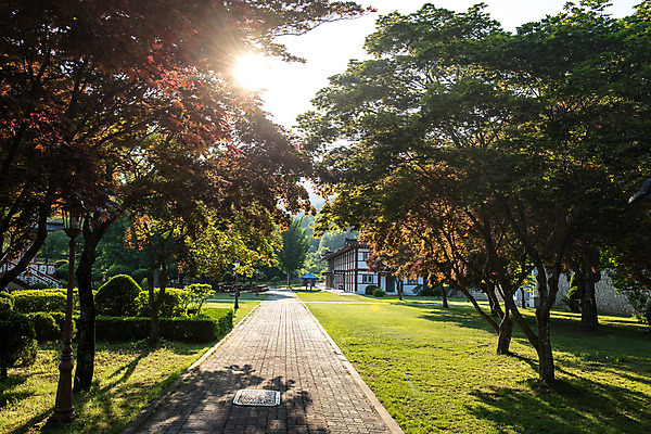 포토 JPG 주간 나무 여행 풍경 사람없음 야외 여름 관광지 햇빛 천주교 명승지 제천 제천10경 배론성지 신유박해 국내포토 자연요소 식물 계절 종교 태양 문화재 역사 충청북도 성지 파일형식