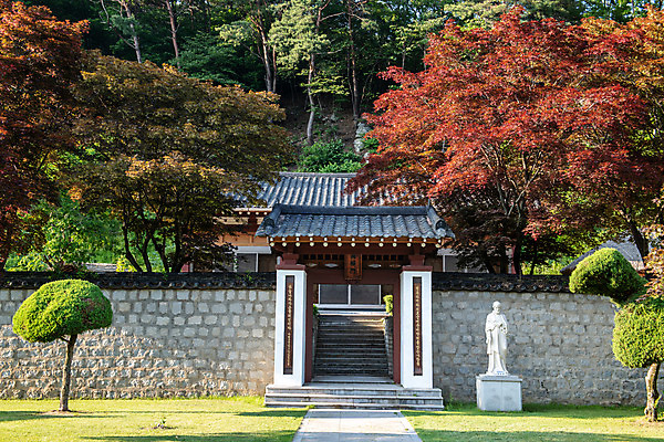포토 JPG 주간 나무 여행 풍경 사람없음 야외 여름 관광지 천주교 명승지 제천 제천10경 배론성지 신유박해 국내포토 자연요소 식물 계절 종교 문화재 역사 충청북도 성지 파일형식