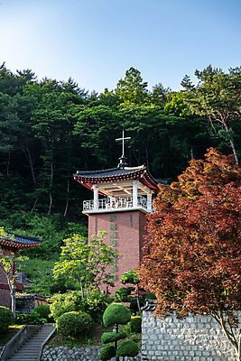 포토 JPG 주간 나무 여행 십자가 풍경 사람없음 야외 여름 관광지 천주교 종탑 명승지 제천 제천10경 배론성지 신유박해 국내포토 자연요소 식물 계절 종교 탑 문화재 역사 충청북도 성지 파일형식