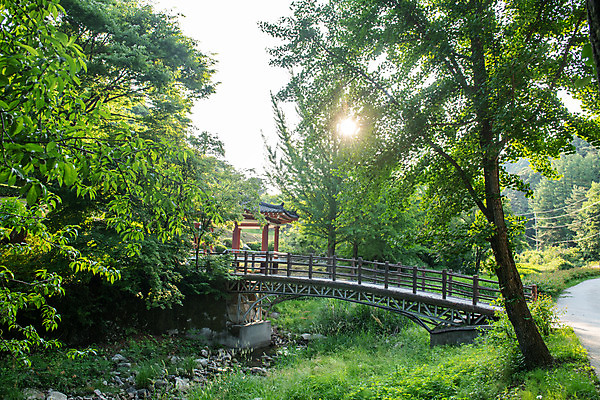 포토 JPG 주간 나무 여행 풍경 사람없음 야외 여름 관광지 햇빛 천주교 명승지 제천 가교 제천10경 배론성지 신유박해 국내포토 자연요소 식물 건축물 계절 종교 태양 문화재 역사 충청북도 성지 파일형식