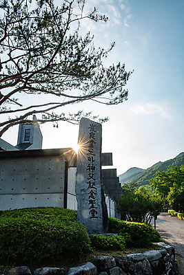 포토 JPG 주간 나무 여행 풍경 사람없음 야외 여름 관광지 햇빛 천주교 명승지 제천 제천10경 배론성지 신유박해 국내포토 자연요소 식물 계절 종교 태양 문화재 역사 충청북도 성지 파일형식