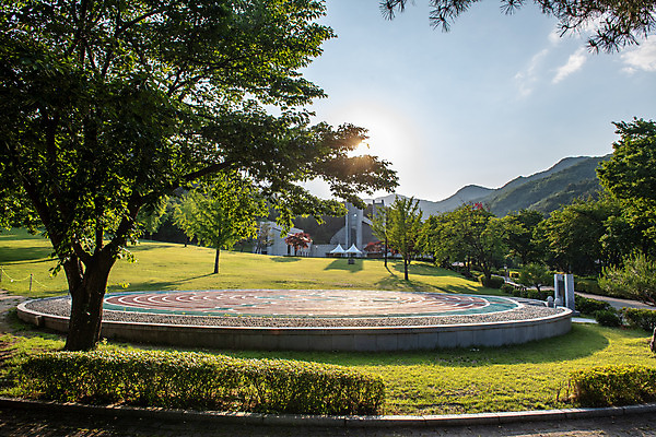 포토 JPG 주간 나무 여행 풍경 사람없음 야외 여름 관광지 천주교 명승지 제천 제천10경 배론성지 신유박해 국내포토 자연요소 식물 계절 종교 문화재 역사 충청북도 성지 파일형식