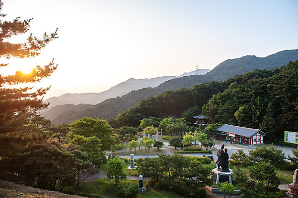 포토 JPG 주간 나무 여행 풍경 사람없음 야외 여름 관광지 햇빛 명승지 제천 박달재 제천10경 국내포토 자연요소 식물 계절 태양 문화재 충청북도 파일형식