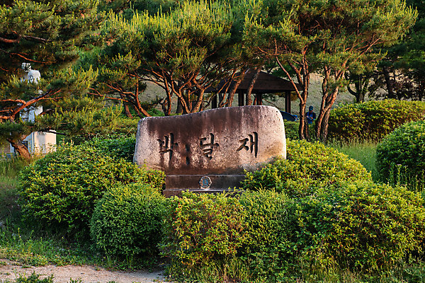 포토 JPG 주간 나무 여행 풍경 사람없음 야외 여름 관광지 명승지 제천 박달재 제천10경 국내포토 자연요소 식물 계절 문화재 충청북도 파일형식