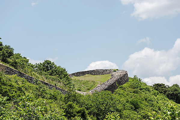 포토 JPG 주간 나무 구름 여행 하늘 풍경 사람없음 야외 여름 관광지 돌_바위 국내여행 단양 명승지 성곽길 단양적성 성재산 국내포토 자연요소 식물 계절 길 산 충청북도 산성 파일형식