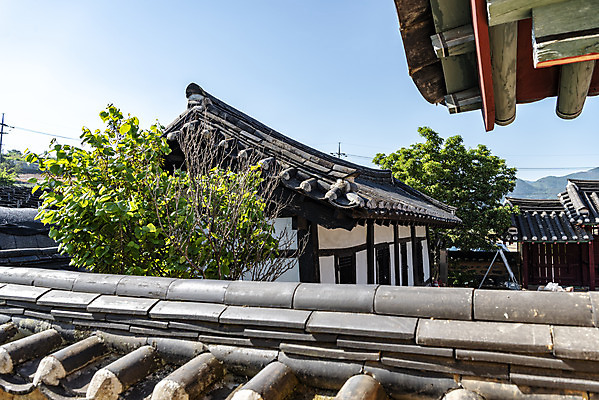 포토 JPG 주간 나무 한국전통 여행 풍경 사람없음 야외 여름 관광지 문화재 기와지붕 국내여행 단양 명승지 기와담장 영춘향교 국내포토 자연요소 식물 전통 계절 지붕 한국 기와 담장 충청북도 향교 파일형식