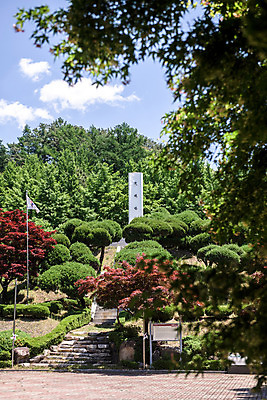포토 JPG 주간 나무 여행 풍경 사람없음 야외 여름 관광지 계단 문화재 국내여행 단양 명승지 충혼탑 국내포토 자연요소 식물 계절 탑 충청북도 파일형식