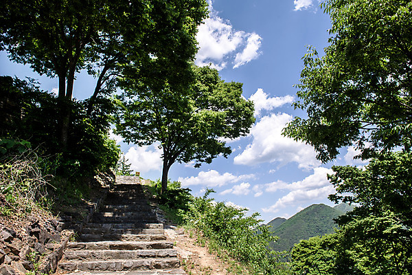 포토 JPG 주간 나무 구름 여행 하늘 풍경 사람없음 야외 여름 관광지 계단 문화재 국내여행 단양 명승지 단양적성 성재산 국내포토 자연요소 식물 계절 산 충청북도 산성 파일형식