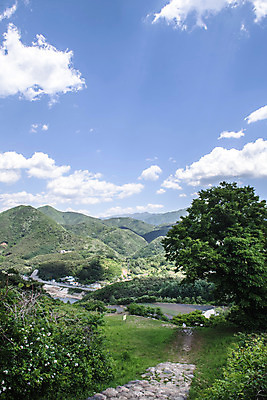 포토 JPG 주간 나무 구름 여행 하늘 풍경 사람없음 야외 여름 관광지 돌_바위 국내여행 단양 명승지 성곽길 단양적성 성재산 국내포토 자연요소 식물 계절 길 산 충청북도 산성 파일형식