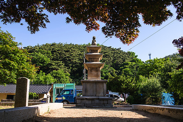 포토 JPG 주간 나무 여행 풍경 사람없음 야외 여름 관광지 문화재 국내여행 단양 명승지 삼층석탑 향산리삼층석탑 국내포토 자연요소 식물 계절 석탑 충청북도 파일형식