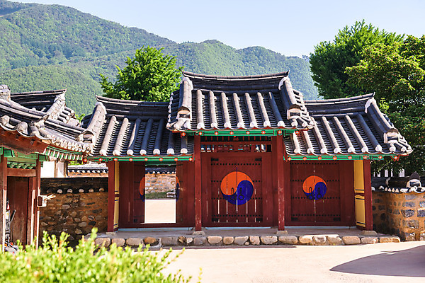 포토 JPG 주간 나무 여행 풍경 사람없음 야외 여름 관광지 문화재 국내여행 단양 명승지 향교 영춘향교 외삼문 국내포토 자연요소 식물 계절 고건축 전통문 충청북도 교육기관 파일형식