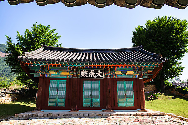 포토 JPG 주간 나무 여행 풍경 사람없음 야외 여름 관광지 문화재 국내여행 단양 명승지 대성전 국내포토 자연요소 식물 계절 성전 충청북도 파일형식