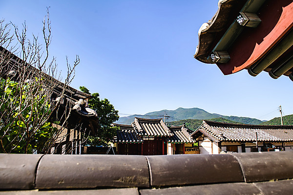 포토 JPG 주간 여행 하늘 풍경 사람없음 야외 여름 관광지 문화재 기와지붕 국내여행 단양 명승지 기와담장 영춘향교 국내포토 자연요소 계절 지붕 기와 담장 충청북도 향교 파일형식