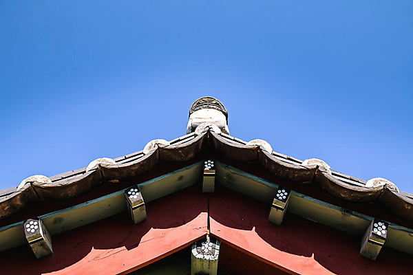 포토 JPG 주간 로우앵글 여행 하늘 풍경 사람없음 야외 여름 관광지 문화재 기와지붕 국내여행 단양 명승지 향교 영춘향교 국내포토 자연요소 계절 뷰포인트 고건축 지붕 기와 충청북도 교육기관 파일형식