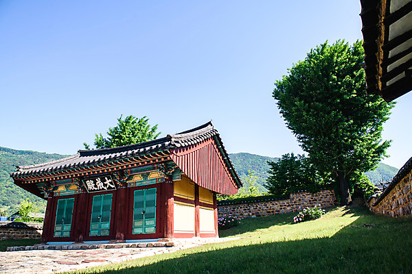 포토 JPG 주간 나무 여행 하늘 풍경 사람없음 야외 여름 관광지 문화재 국내여행 단양 명승지 대성전 영춘향교 국내포토 자연요소 식물 계절 성전 충청북도 향교 파일형식