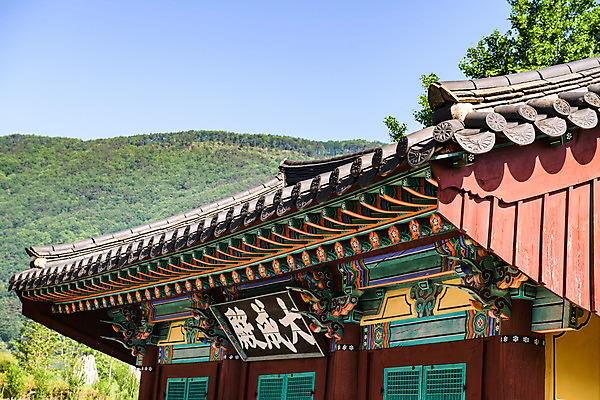 포토 JPG 주간 여행 풍경 사람없음 야외 여름 관광지 문화재 국내여행 단양 명승지 대성전 영춘향교 국내포토 자연요소 계절 성전 충청북도 향교 파일형식