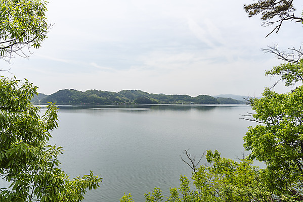 포토 JPG 주간 나무 여행 하늘 나뭇잎 풍경 사람없음 야외 관광지 봄 국내여행 명승지 예당저수지 국내포토 예산군 자연요소 식물 계절 잎 저수지 충청남도 파일형식 예산_지역