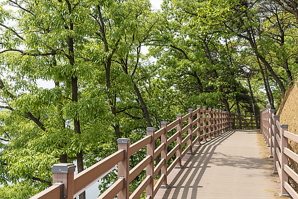포토 JPG 주간 나무 여행 풍경 사람없음 야외 관광지 봄 국내여행 명승지 가교 예당저수지 국내포토 예산군 자연요소 식물 건축물 계절 저수지 충청남도 파일형식 예산_지역
