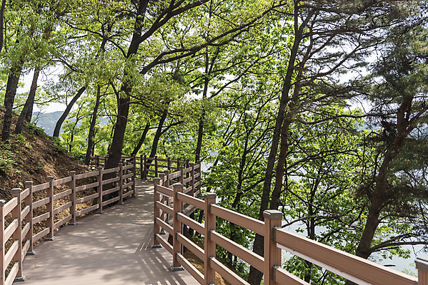 포토 JPG 주간 나무 여행 풍경 사람없음 야외 관광지 봄 국내여행 명승지 가교 예당저수지 국내포토 예산군 자연요소 식물 건축물 계절 저수지 충청남도 파일형식 예산_지역