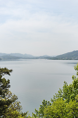 포토 JPG 주간 나무 여행 하늘 나뭇잎 풍경 사람없음 야외 관광지 봄 국내여행 명승지 예당저수지 국내포토 예산군 자연요소 식물 계절 잎 저수지 충청남도 파일형식 예산_지역