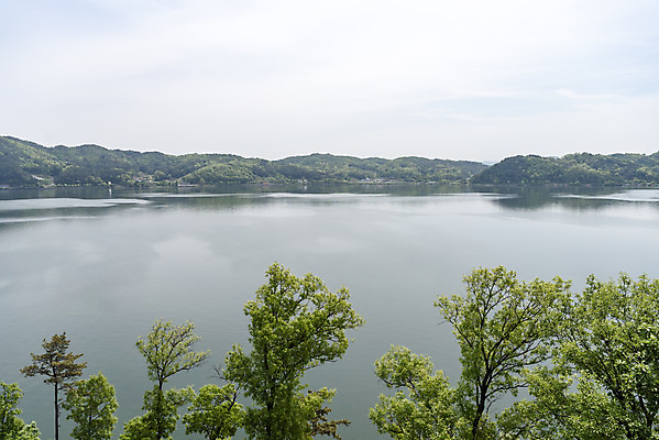 포토 JPG 주간 나무 여행 하늘 나뭇잎 풍경 사람없음 야외 관광지 봄 국내여행 명승지 예당저수지 국내포토 예산군 자연요소 식물 계절 잎 저수지 충청남도 파일형식 예산_지역