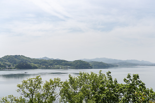 포토 JPG 주간 나무 여행 하늘 나뭇잎 풍경 사람없음 야외 관광지 봄 국내여행 명승지 예당저수지 국내포토 예산군 자연요소 식물 계절 잎 저수지 충청남도 파일형식 예산_지역