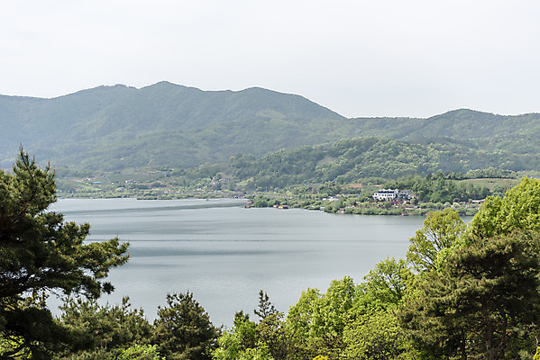 포토 JPG 주간 나무 여행 하늘 나뭇잎 풍경 사람없음 야외 관광지 봄 국내여행 명승지 예당저수지 국내포토 예산군 자연요소 식물 계절 잎 저수지 충청남도 파일형식 예산_지역