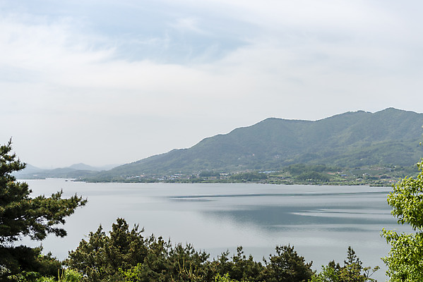 포토 JPG 주간 나무 여행 하늘 나뭇잎 풍경 사람없음 야외 관광지 봄 국내여행 명승지 예당저수지 국내포토 예산군 자연요소 식물 계절 잎 저수지 충청남도 파일형식 예산_지역