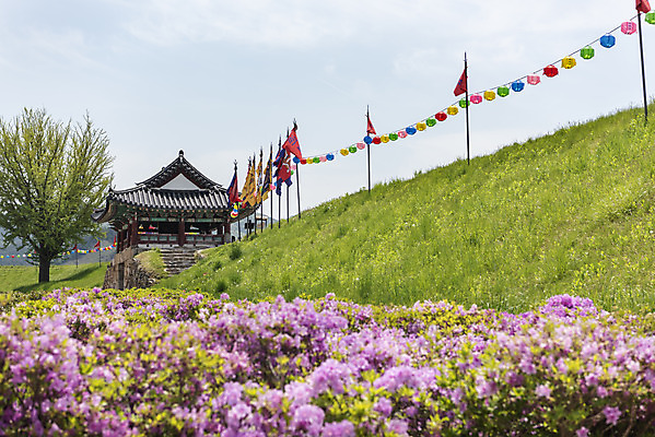 포토 JPG 주간 꽃 여행 한국건축 유적지 풍경 사람없음 야외 관광지 봄 문화재 깃발 연등 국내여행 명승지 사적지 해미읍성 국내포토 자연요소 식물 계절 건축 고건축 등불 불교용품 서산 파일형식