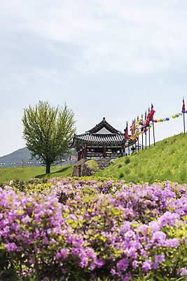 포토 JPG 주간 나무 꽃 여행 한국건축 유적지 하늘 풍경 사람없음 야외 관광지 봄 문화재 깃발 연등 국내여행 명승지 사적지 해미읍성 국내포토 자연요소 식물 계절 건축 고건축 등불 불교용품 서산 파일형식