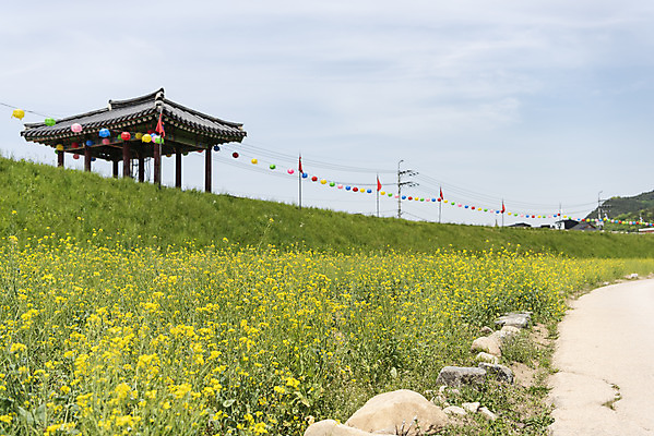 포토 JPG 주간 꽃 여행 한국건축 유적지 하늘 풍경 사람없음 야외 관광지 봄 문화재 연등 국내여행 명승지 사적지 해미읍성 국내포토 자연요소 식물 계절 건축 고건축 등불 불교용품 서산 파일형식