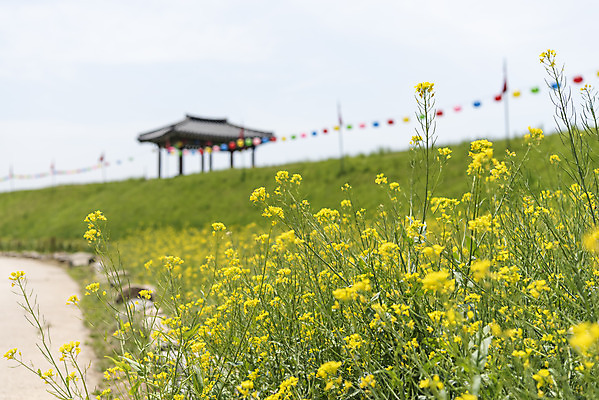포토 JPG 주간 꽃 여행 한국건축 유적지 하늘 풍경 사람없음 야외 아웃포커스 관광지 봄 문화재 연등 국내여행 명승지 사적지 해미읍성 국내포토 자연요소 식물 계절 건축 고건축 촬영기법 등불 불교용품 서산 파일형식