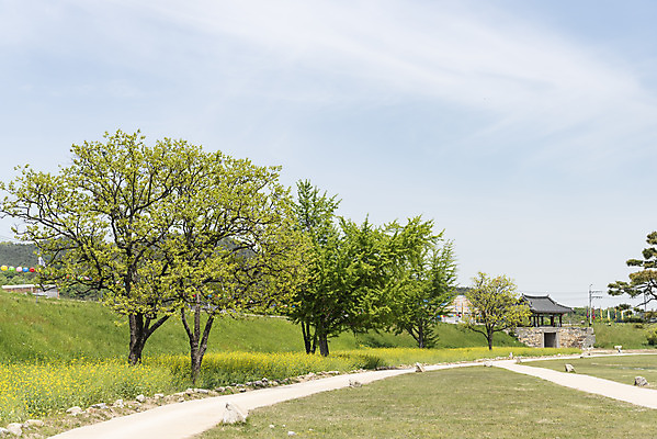 포토 JPG 주간 나무 구름 여행 한국건축 유적지 하늘 풍경 사람없음 야외 관광지 봄 문화재 국내여행 명승지 사적지 해미읍성 국내포토 자연요소 식물 계절 건축 고건축 서산 파일형식