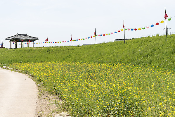 포토 JPG 주간 꽃 여행 한국건축 유적지 하늘 풍경 사람없음 야외 아웃포커스 관광지 봄 문화재 깃발 연등 국내여행 명승지 사적지 해미읍성 국내포토 자연요소 식물 계절 건축 고건축 촬영기법 등불 불교용품 서산 파일형식