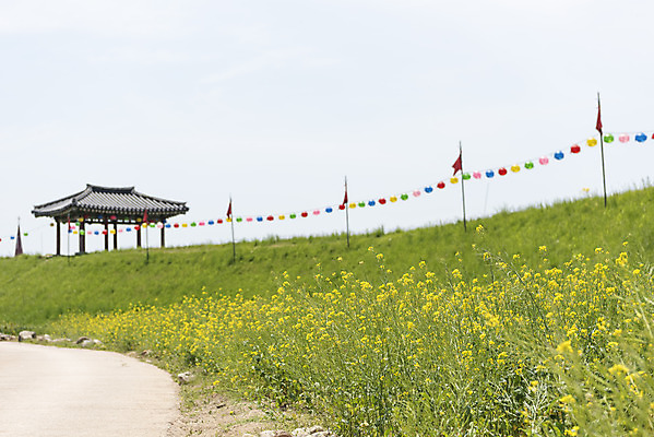 포토 JPG 주간 꽃 여행 한국건축 유적지 하늘 풍경 사람없음 야외 아웃포커스 관광지 봄 문화재 깃발 연등 국내여행 명승지 사적지 해미읍성 국내포토 자연요소 식물 계절 건축 고건축 촬영기법 등불 불교용품 서산 파일형식