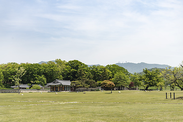 포토 JPG 주간 나무 구름 여행 한국건축 유적지 하늘 풍경 사람없음 야외 관광지 봄 문화재 국내여행 명승지 사적지 해미읍성 국내포토 자연요소 식물 계절 건축 고건축 서산 파일형식