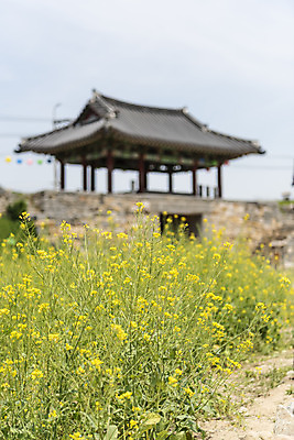 포토 JPG 주간 꽃 여행 한국건축 유적지 하늘 풍경 사람없음 야외 아웃포커스 관광지 봄 문화재 연등 국내여행 명승지 사적지 해미읍성 국내포토 자연요소 식물 계절 건축 고건축 촬영기법 등불 불교용품 서산 파일형식