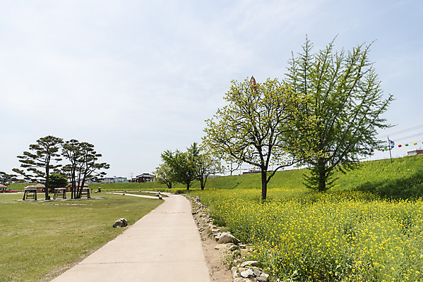 포토 JPG 주간 나무 길 여행 한국건축 유적지 하늘 풍경 사람없음 야외 관광지 봄 문화재 국내여행 명승지 사적지 해미읍성 국내포토 자연요소 식물 계절 건축 고건축 서산 파일형식