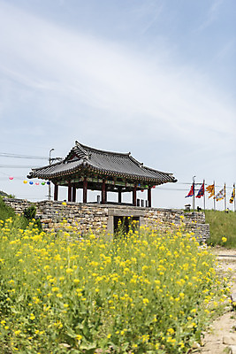 포토 JPG 주간 꽃 여행 한국건축 유적지 하늘 풍경 사람없음 야외 관광지 봄 문화재 깃발 연등 국내여행 명승지 사적지 해미읍성 국내포토 자연요소 식물 계절 건축 고건축 등불 불교용품 서산 파일형식