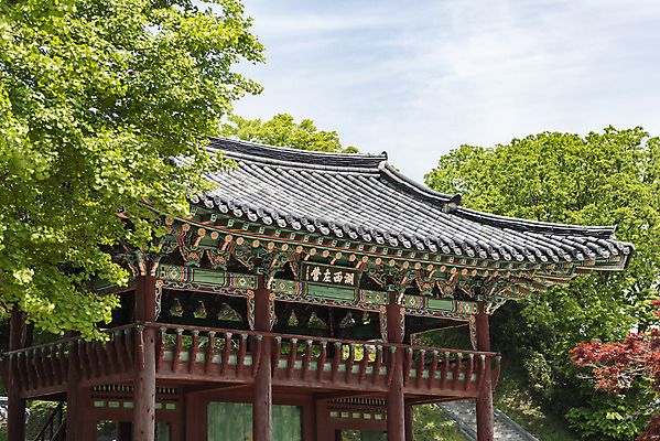 포토 JPG 주간 나무 여행 한국건축 유적지 하늘 풍경 사람없음 야외 관광지 봄 문화재 국내여행 명승지 사적지 해미읍성 국내포토 자연요소 식물 계절 건축 고건축 서산 파일형식