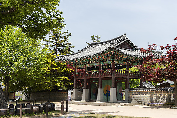 포토 JPG 주간 나무 여행 한국건축 유적지 하늘 풍경 사람없음 야외 관광지 봄 문화재 국내여행 명승지 사적지 해미읍성 국내포토 자연요소 식물 계절 건축 고건축 서산 파일형식