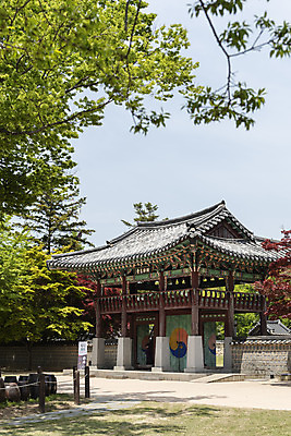 포토 JPG 주간 나무 여행 한국건축 유적지 하늘 풍경 사람없음 야외 관광지 봄 문화재 국내여행 명승지 사적지 해미읍성 국내포토 자연요소 식물 계절 건축 고건축 서산 파일형식